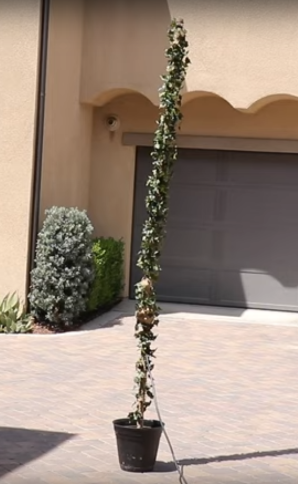 Stealth 2m / 440 Antenna